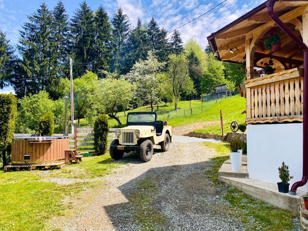 Cabana Elena Borşa Exterior foto
